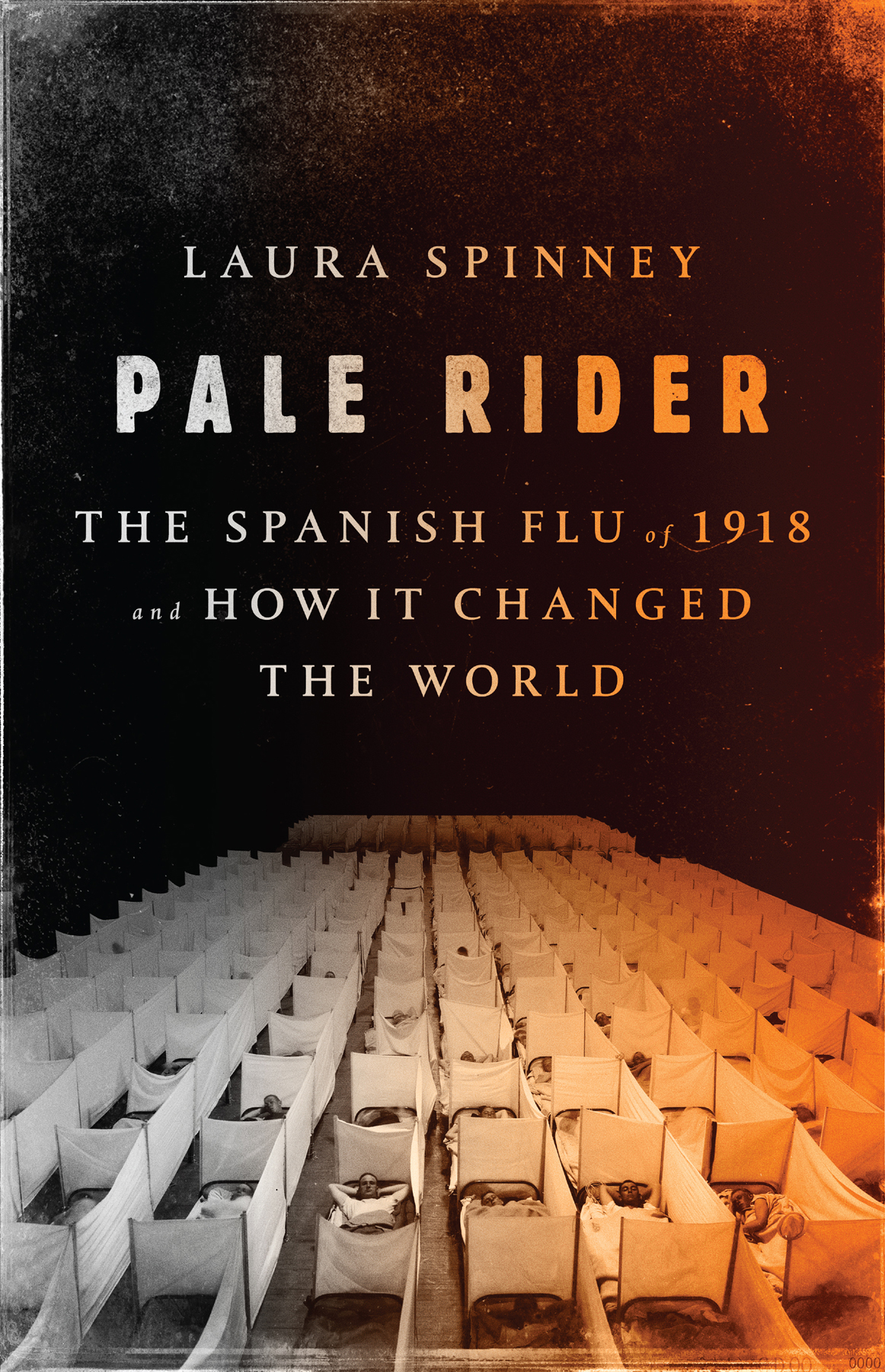 Pale Rider: The Spanish Flu of 1918and How It Changed the World